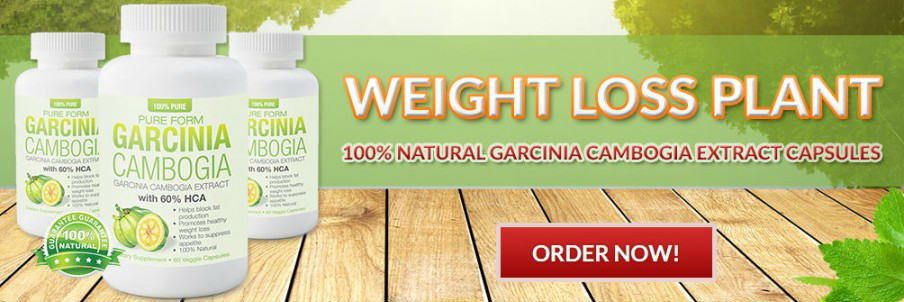 Precision Vitality Garcinia Cambogia buy