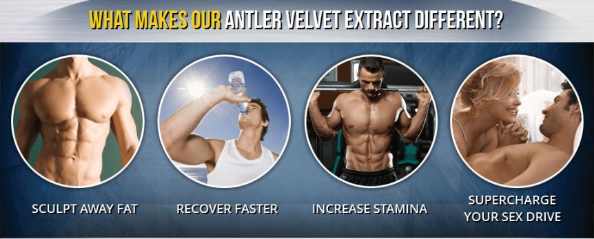 Max Antler Pro – BEFORE TRY READ MUST SHOCKING!!